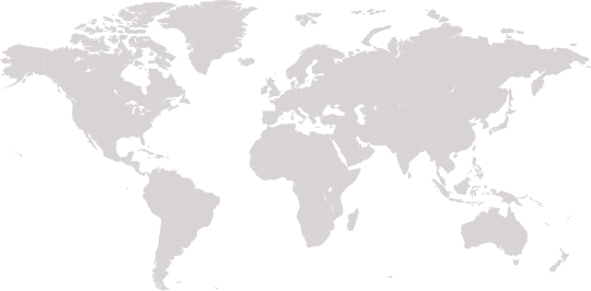 DOMESTIC AND GLOBAL SALES AND SERVICE NETWORK